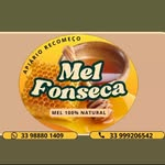 Apiário Recomeço